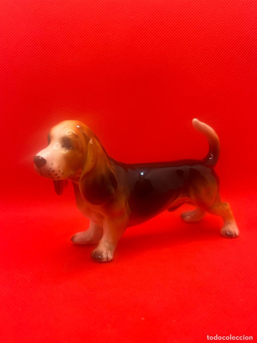 Vintage: Figura Canina Basset Hound en Porcelana Fina Esmaltada - A&ntilde;os 70/80