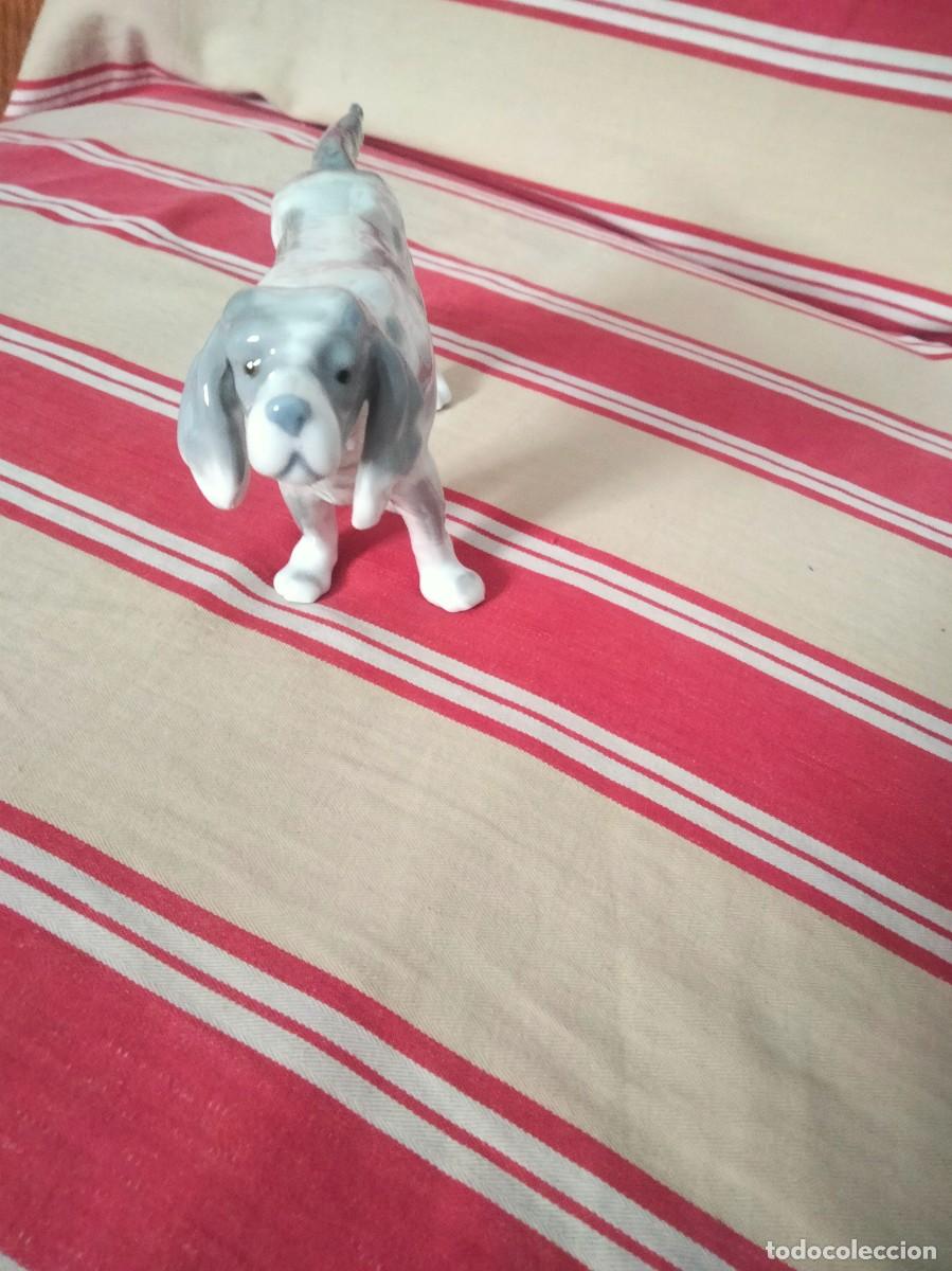 Vintage: Perro vintage de porcelana Rex