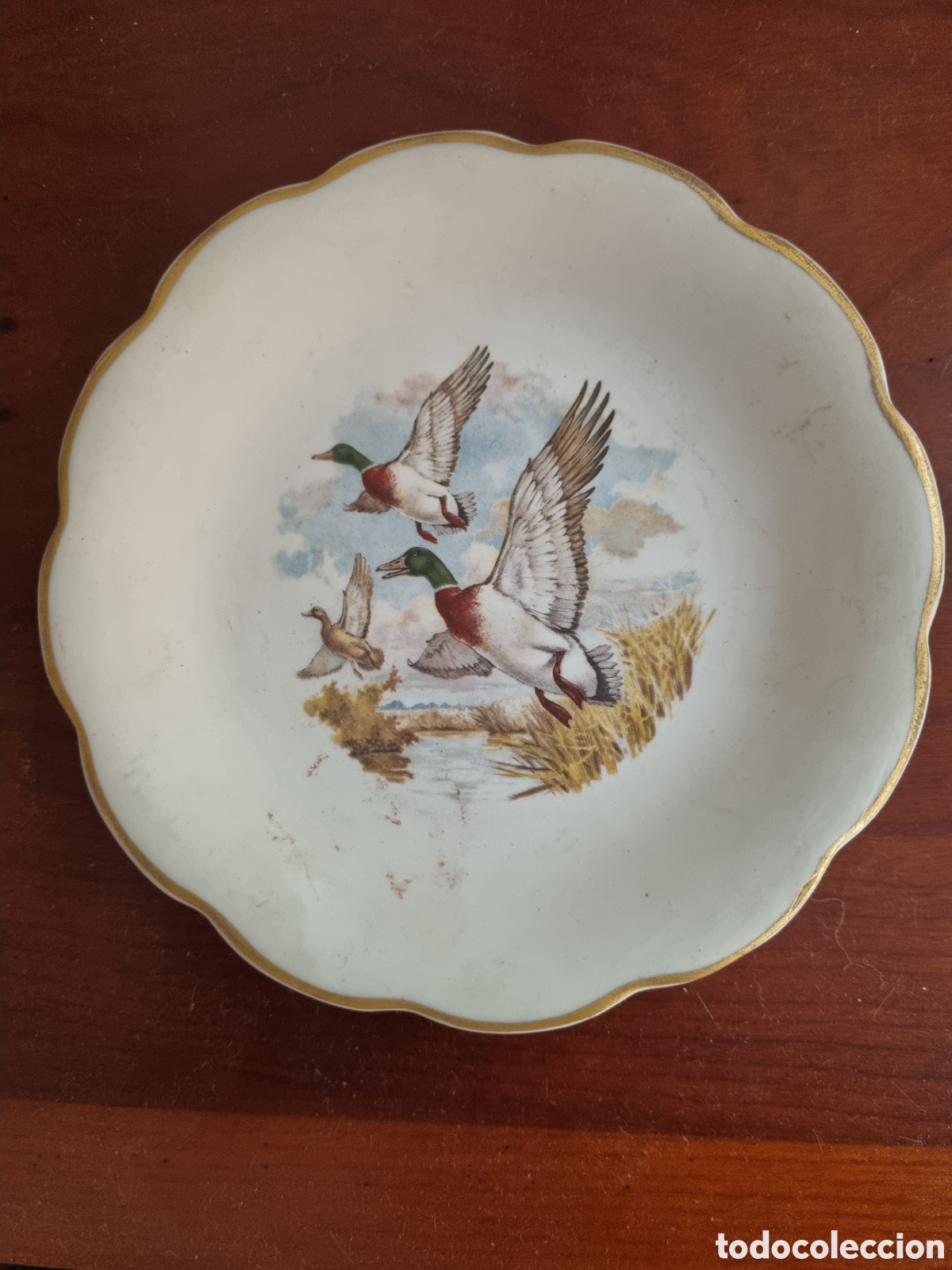 Vintage: Porcelana portuguesa pintada a mano. IBIS. Aveiro (Portugal). 12,5 cm di&aacute;metro x 2,5 cm alto.