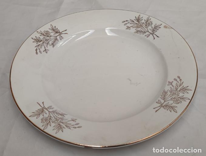 Vintage: PLATO DE PORCELANA ROYAL CHINA VIGO