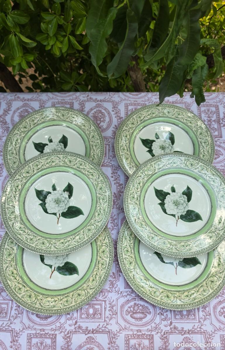 Vintage: Lote 6 Platos Llanos 27 cm Royal Horticultural Society Applebee Collection Made in England Vajilla