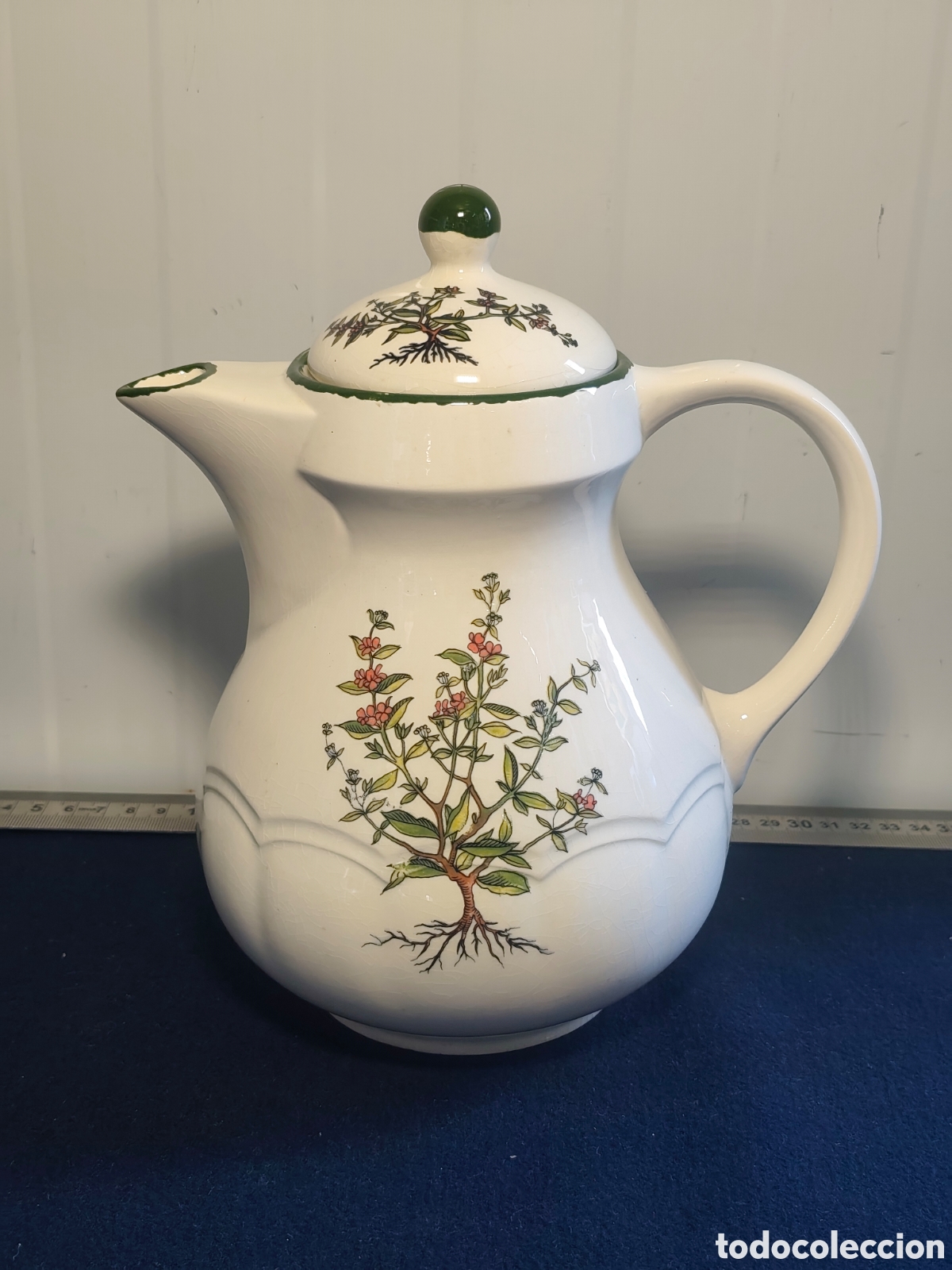 Vintage: Cafetera / Tetera vintage de loza italiana Pagnossin Treviso (Motivo Bot&aacute;nico)