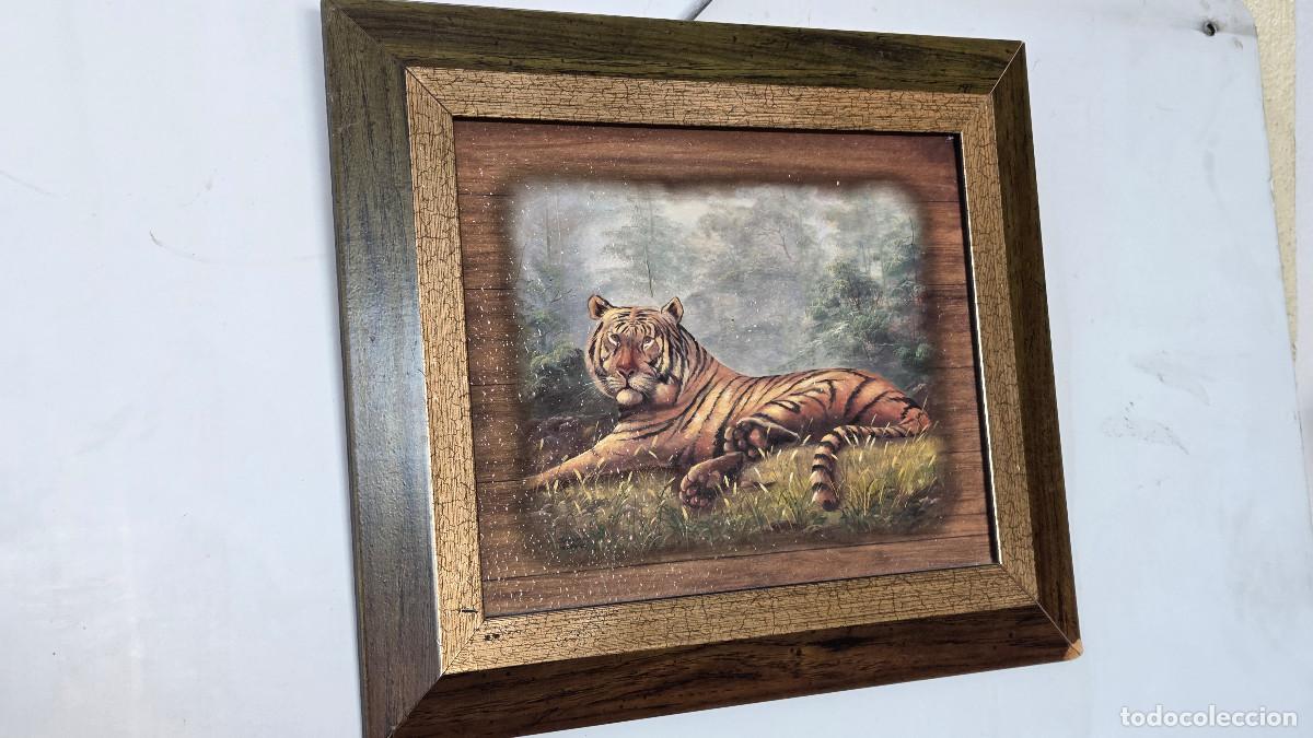 Vintage: cuadro litografia tigre