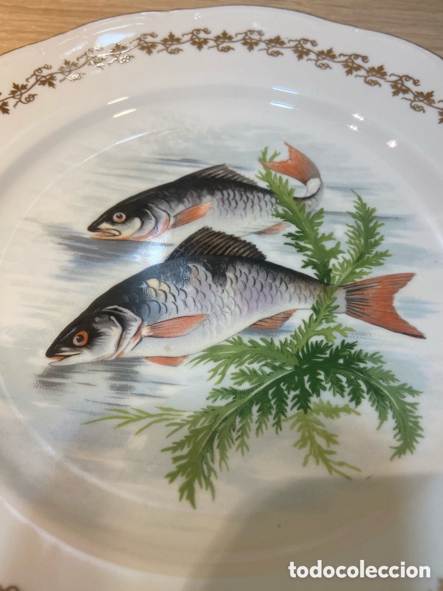 Vintage: Plato Porcelaine de France Digoin