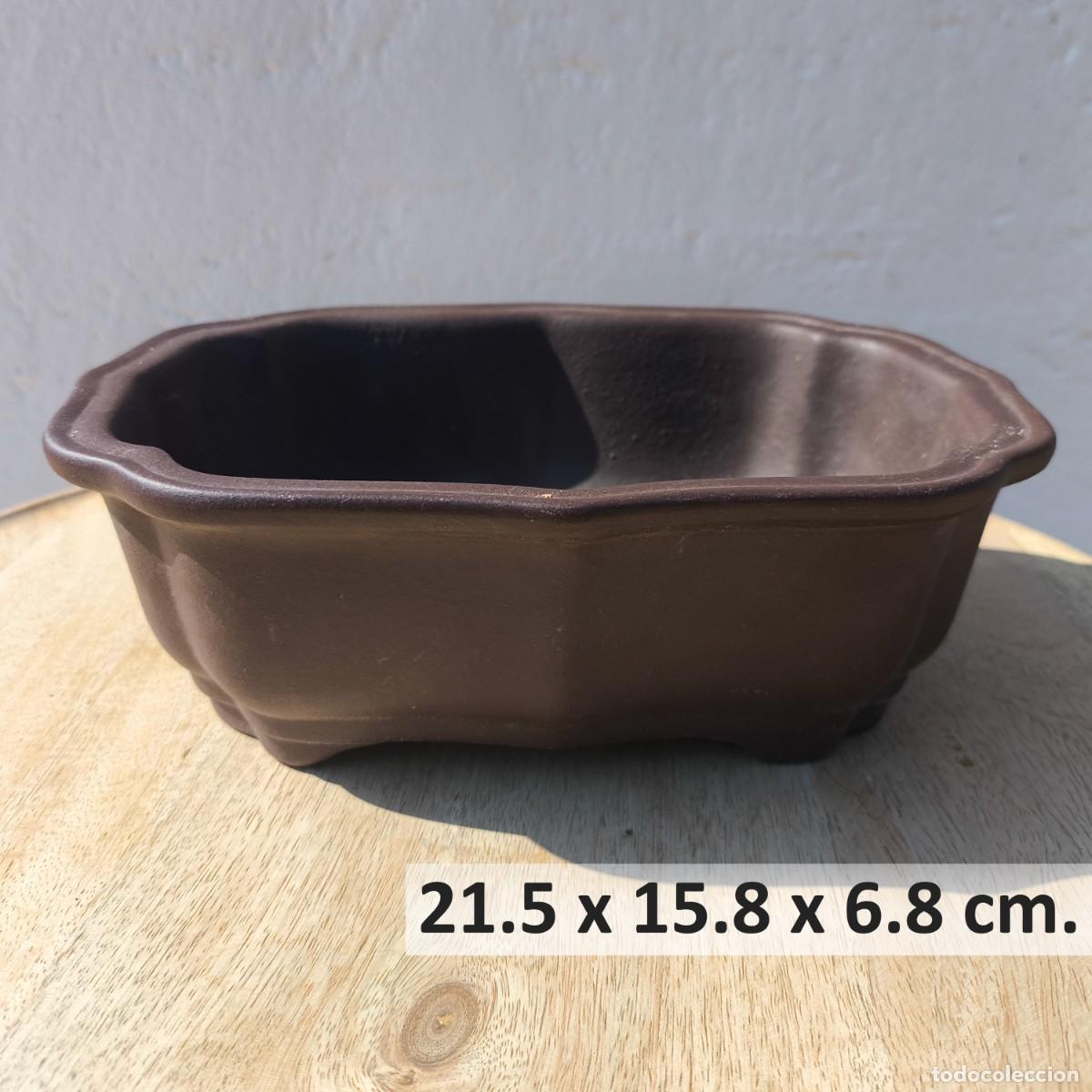 Vintage: Maceta Bonsai Yixing Marr&oacute;n Terracota