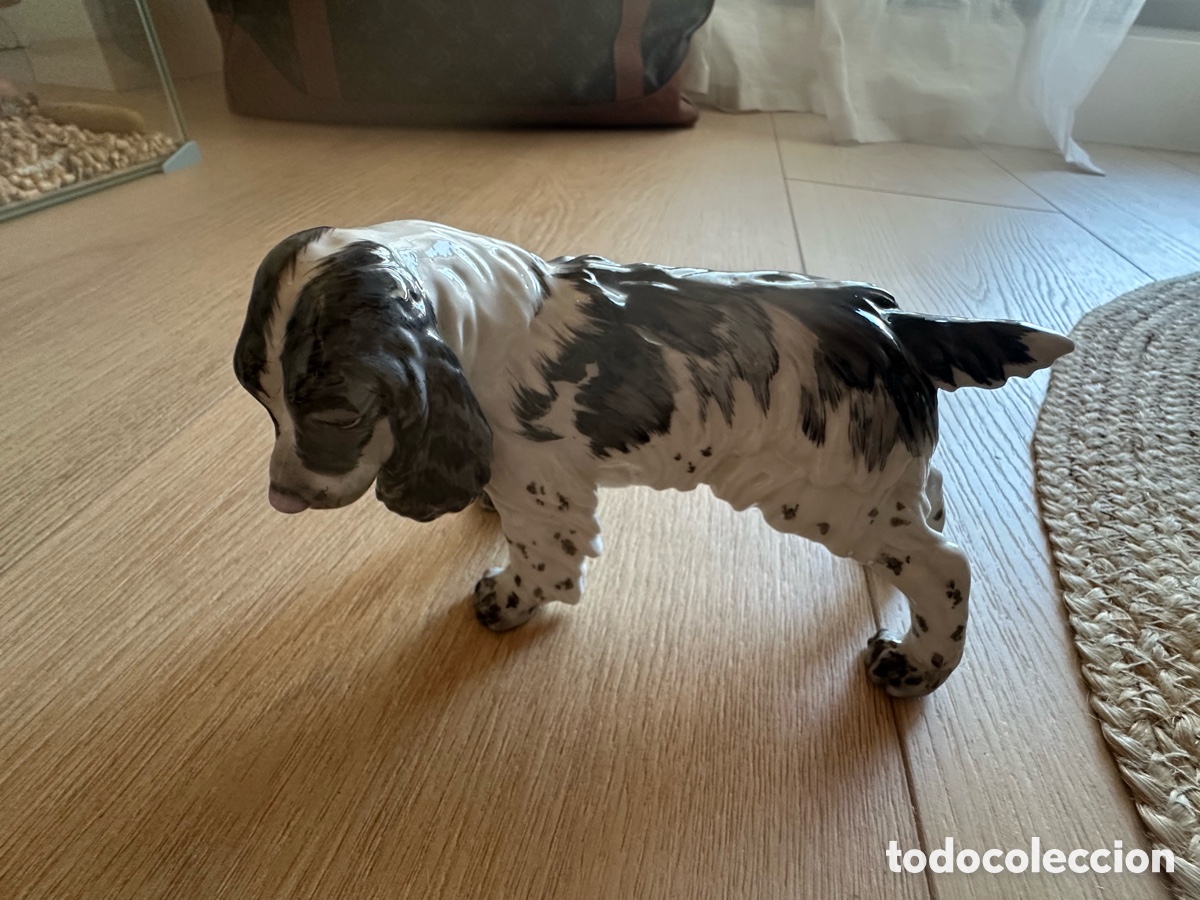 Vintage: Figura de porcelana Cocker Spaniel