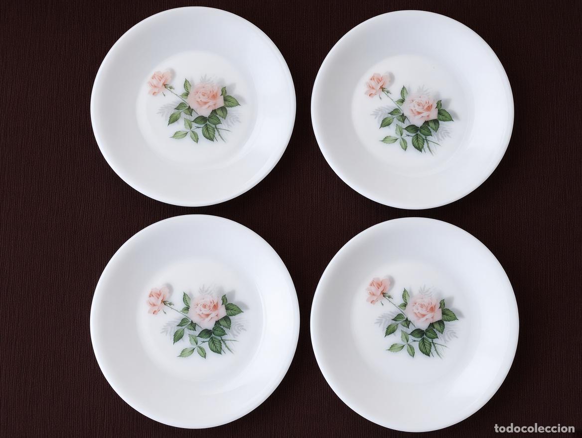 Vintage: ARCOPAL ROSAS - Lote 4 Platos Planos Grandes, de 23 cm.