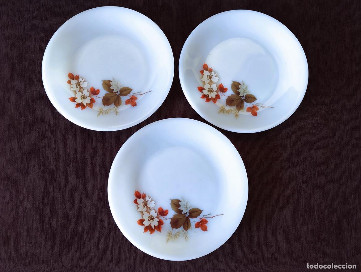 Vintage: ARCOPAL FLOR DE ALMENDRO - Lote 3 Platos Planos Grandes, de 23 cm.