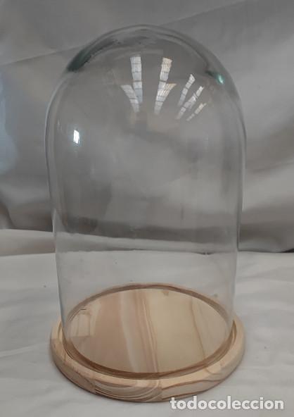 Vintage: CUPULA O URNA DE CRISTAL CON BASE DE MADERA PARA FLORES O SIM., 25 X 15 CM