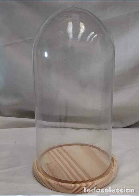 Vintage: CUPULA O URNA DE CRISTAL CON BASE DE MADERA PARA FLORES O SIM., 31 X 15 CM