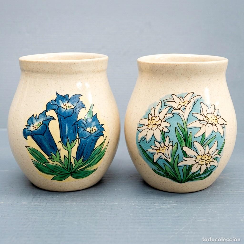 Vintage: Juego VASIJAS de ceramica portuguesa - Plantas Medicinales