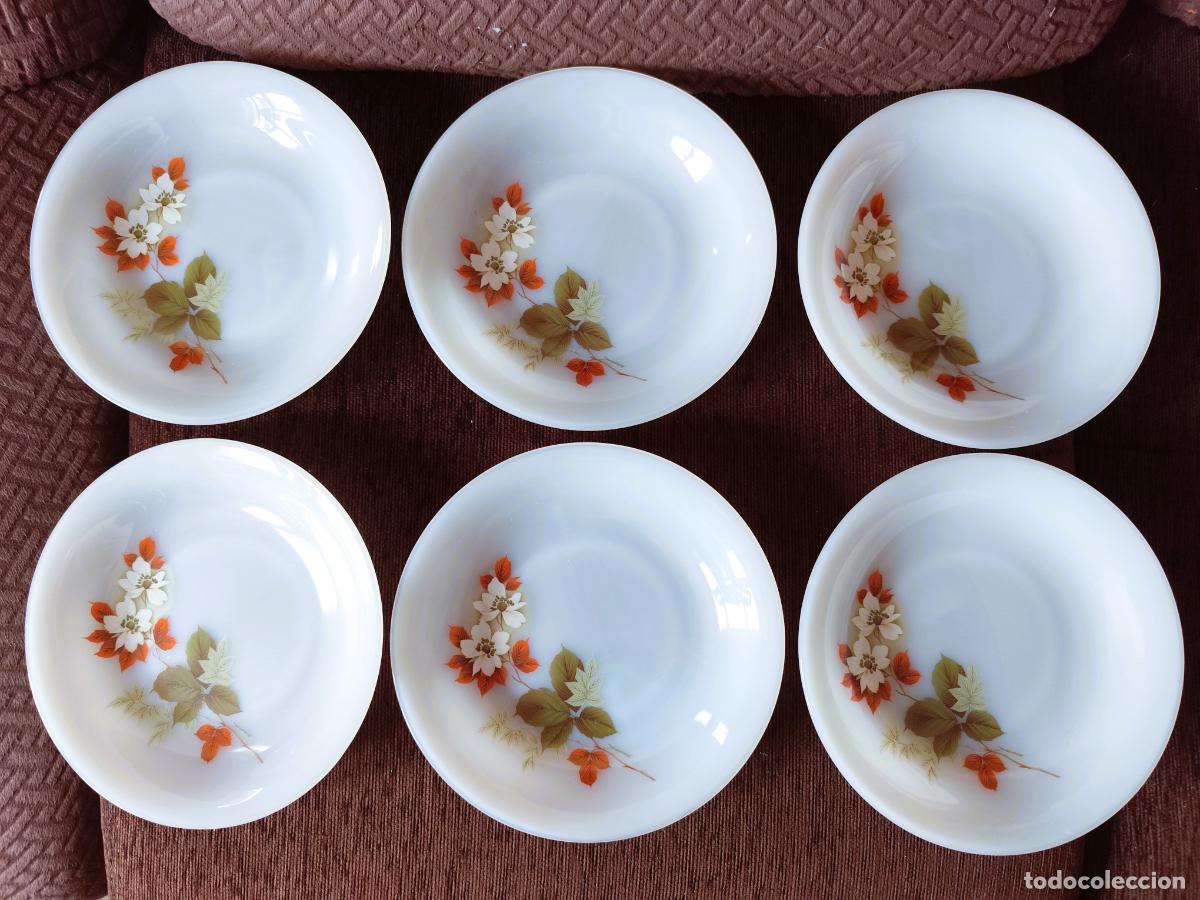 Vintage: ARCOPAL FLOR DE ALMENDRO - Lote 6 Platos Hondos Grandes de 21,30 cm --- NUEVOS