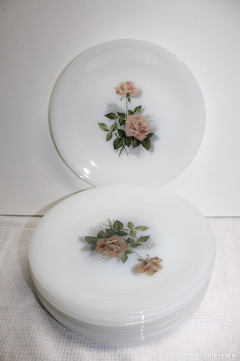 Vintage: LOTE DE 11 PLATOS LLANOS ARCOPAL - MODELO ROSAS