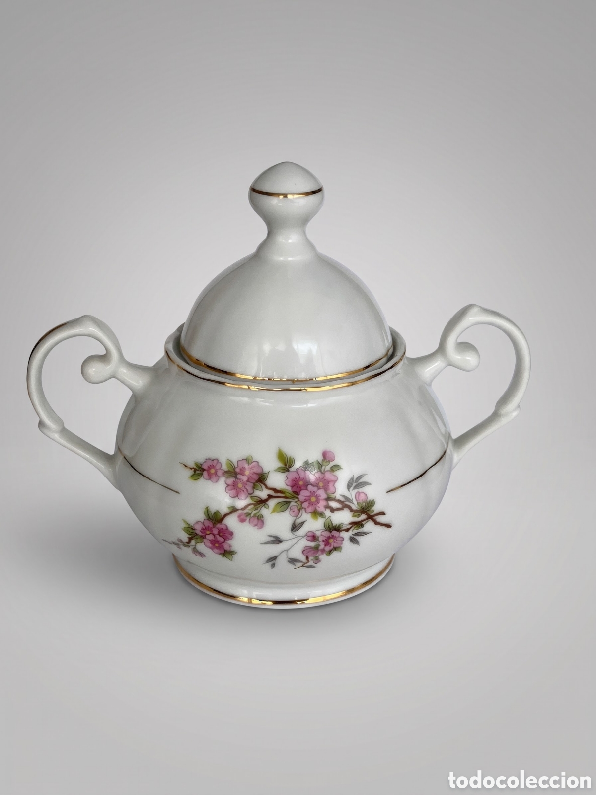 Vintage: Antiguo azucarero de porcelana Gemma (Made in Spain) - Floral