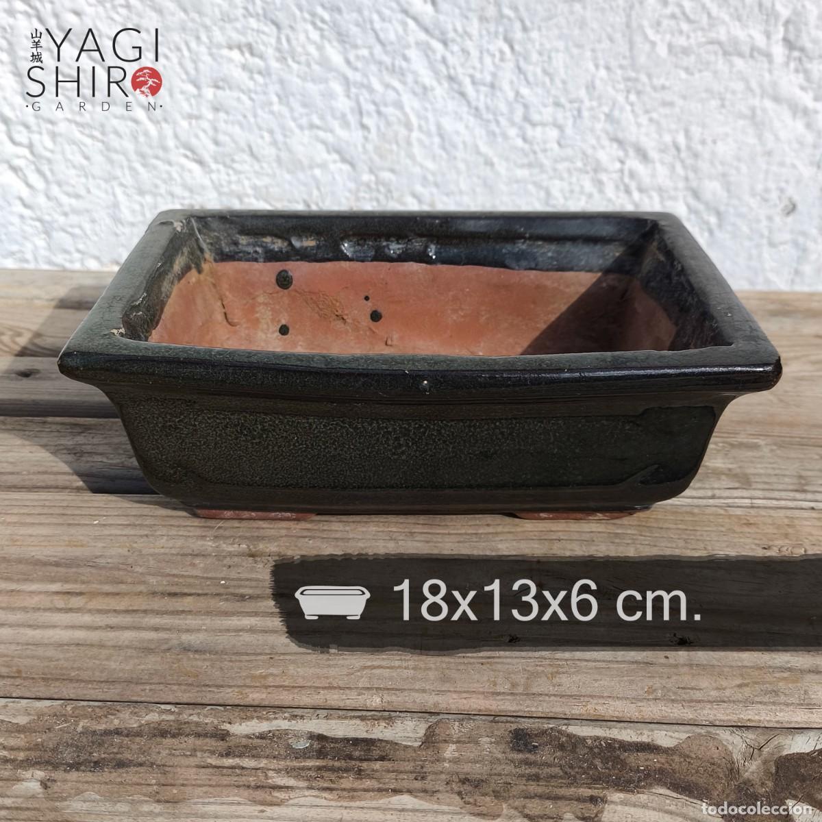 Vintage: Maceta Bons&aacute;i Terracota Segunda Mano