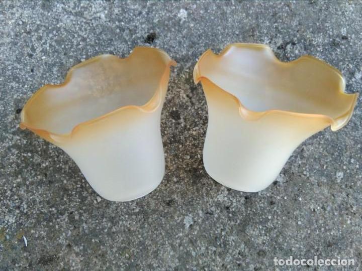 Vintage: Apliques ,tulipas vintage - Foto 1