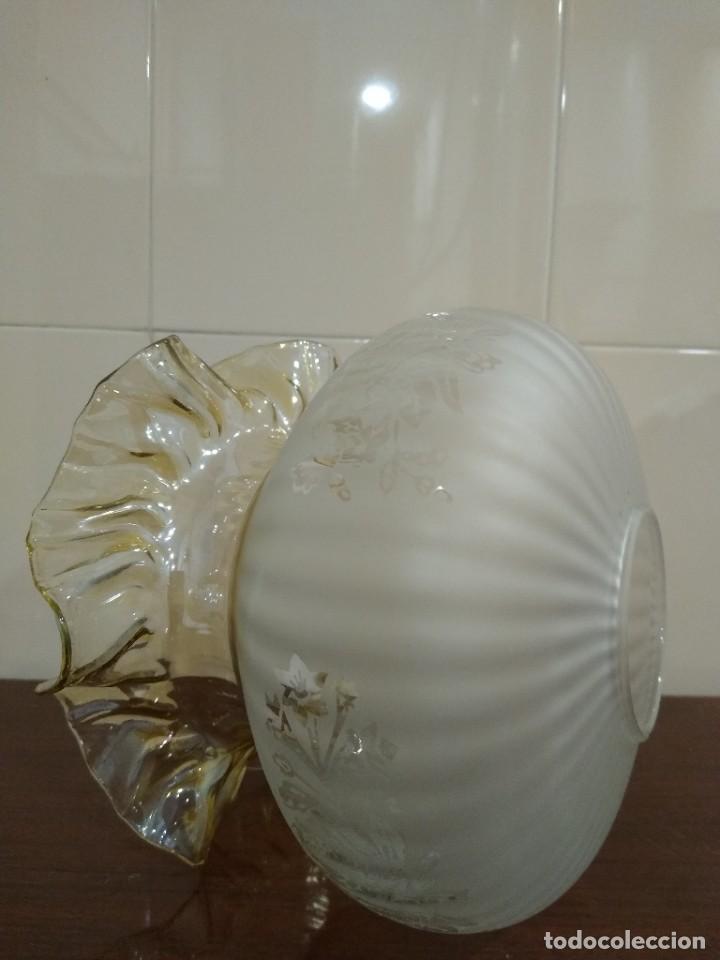Vintage: Antigua tulipa bicolor - Foto 3