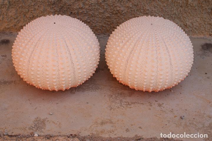 Vintage: 2 lamparas de techo - Foto 2