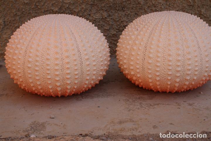 Vintage: 2 lamparas de techo - Foto 7