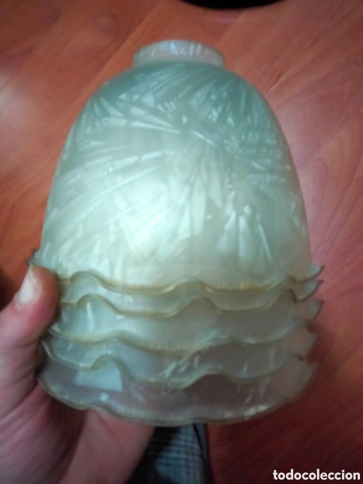 Vintage: 5 Tulipas de cristal esmerilado estilo floral