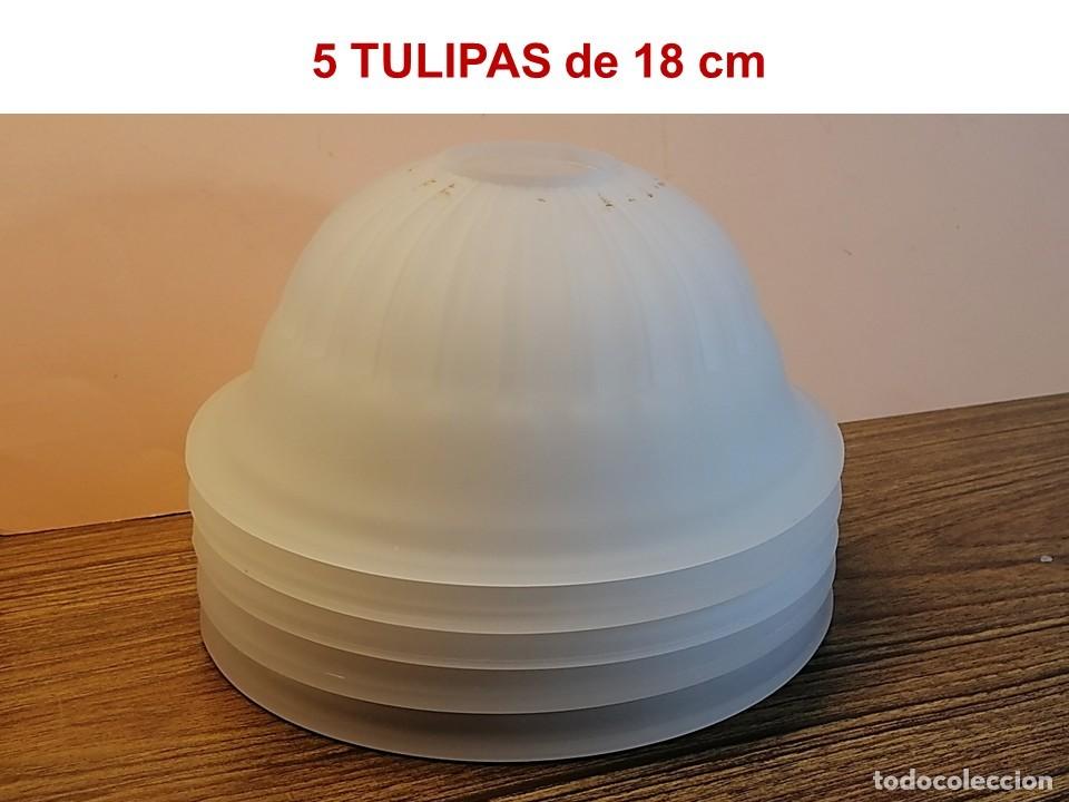 Vintage: SEIS ROBUSTAS TULIPAS AL &Aacute;CIDO