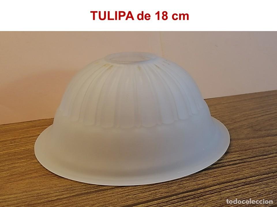 Vintage: CUATRO ROBUSTAS TULIPAS AL &Aacute;CIDO