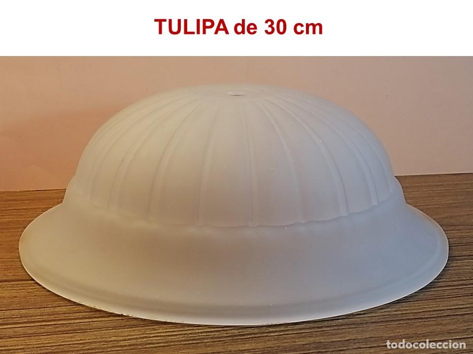 Vintage: CUATRO ROBUSTAS TULIPAS AL &Aacute;CIDO - Foto 4