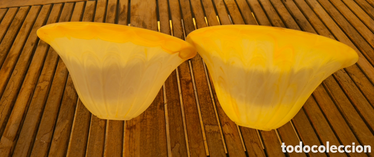 Vintage: Pareja tulipas opalinas - Foto 8
