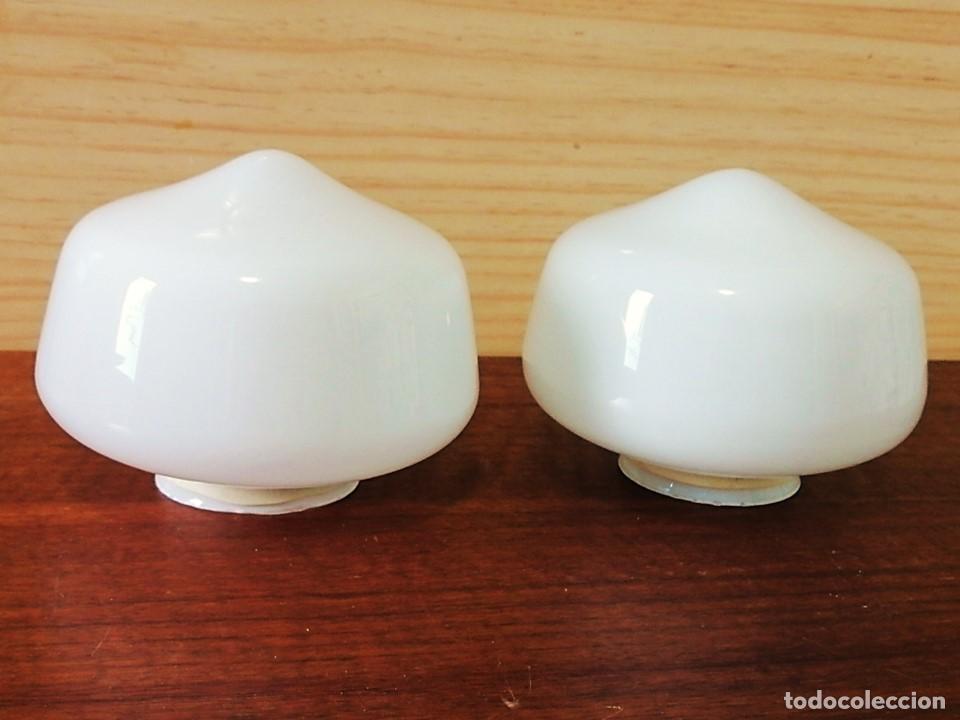 Vintage: DOS TULIPAS CERRADAS