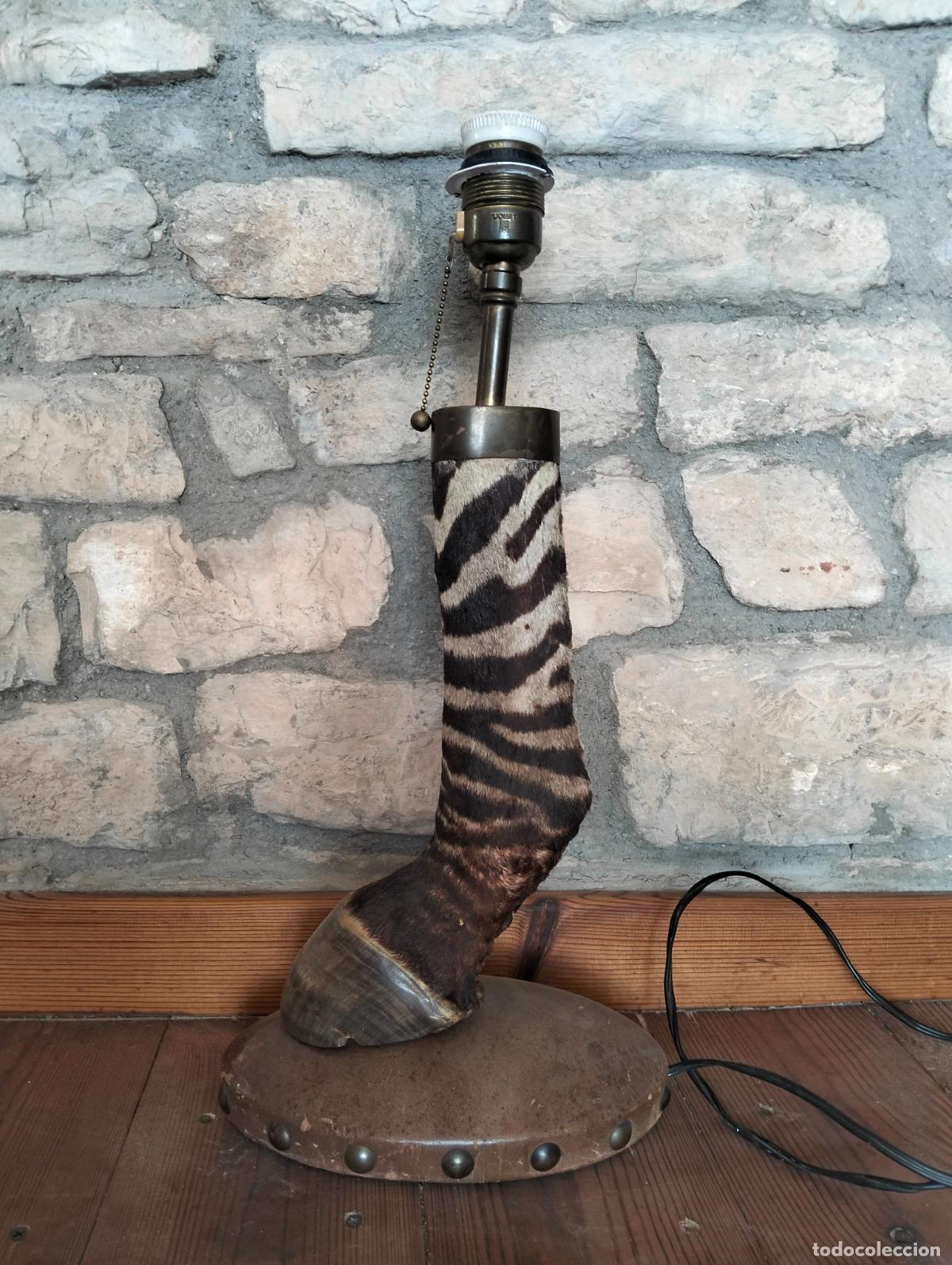 Vintage: L&aacute;mpara antigua de sobremesa estilo africano pata pie zebra taxidermia Valent&iacute; bcn circa a&ntilde;os 40-50