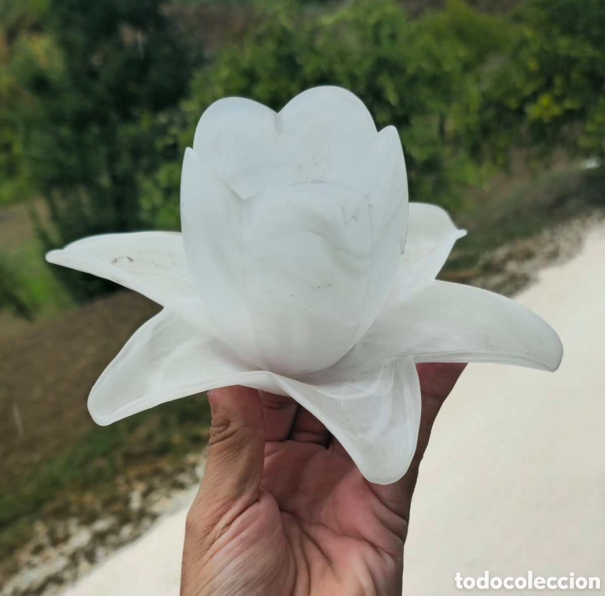 Vintage: Lote tulipas cristal opalino - Foto 7