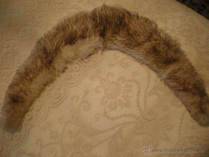 Vintage: cuello de piel de castor - Foto 1