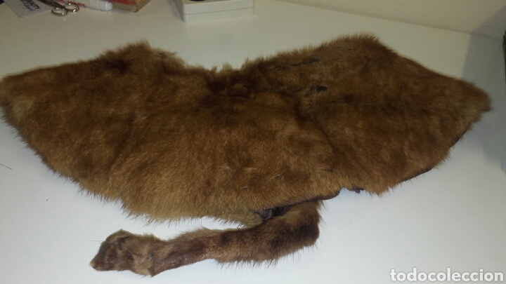 Vintage: CUELLO PIEL DE ANIMAL - Foto 2