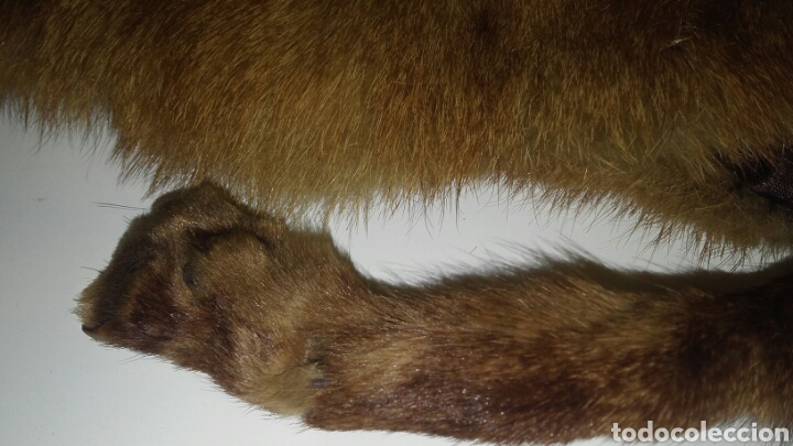 Vintage: CUELLO PIEL DE ANIMAL - Foto 3