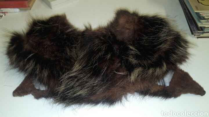 Vintage: CUELLO DE PIEL DE ANIMAL - Foto 2
