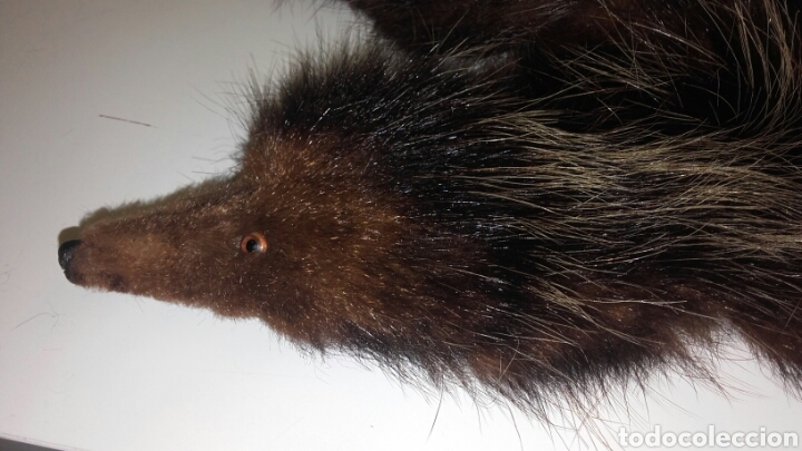 Vintage: CUELLO DE PIEL DE ANIMAL - Foto 3