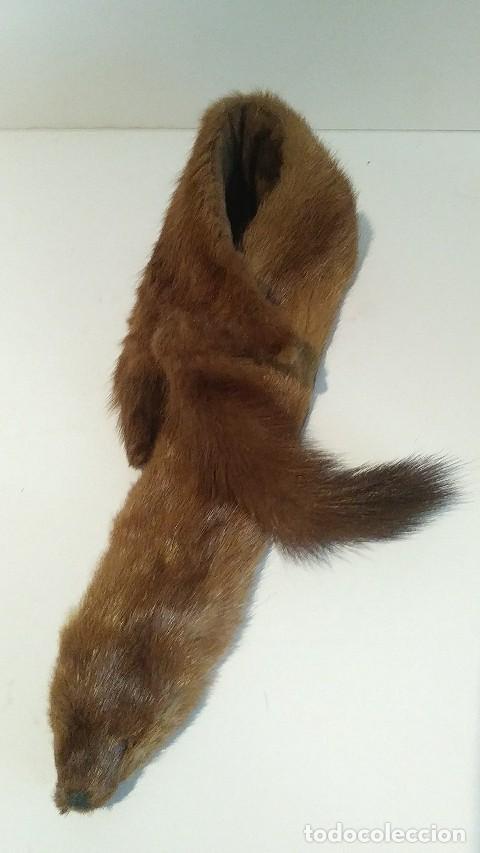 Vintage: piel de vison con cabeza y patas - Foto 2