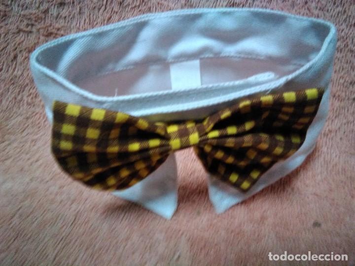 Vintage: Complementos para mascotas - Foto 2