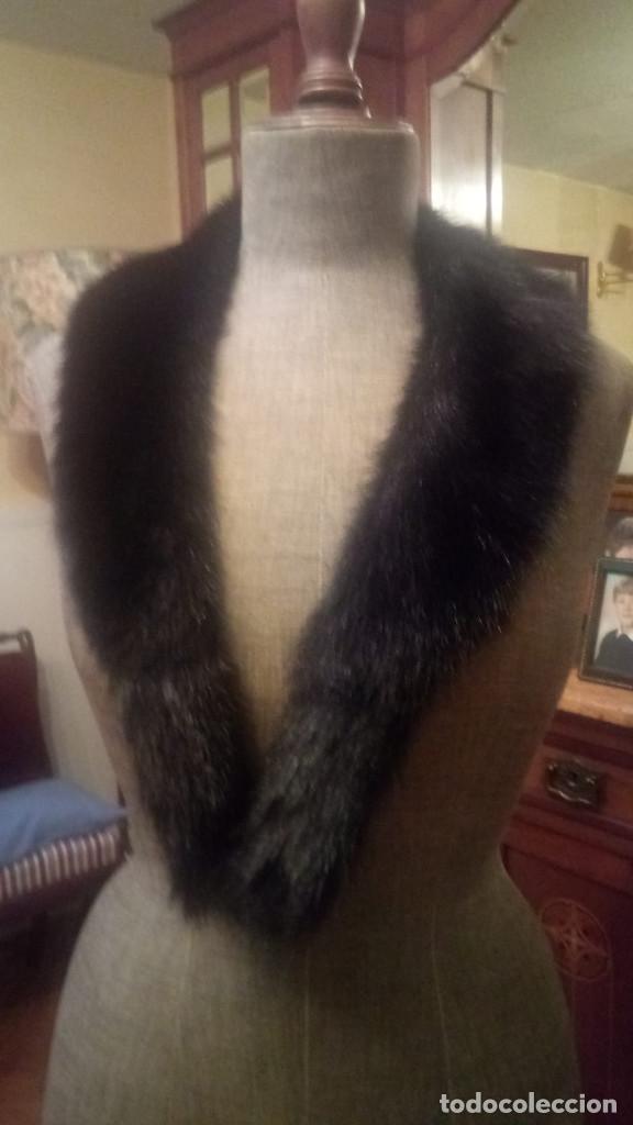 Vintage: Cuello de piel de foca negro - Foto 1