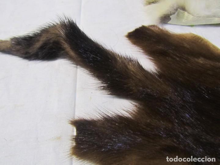 Vintage: 2 pieles completas curtidas - Foto 7