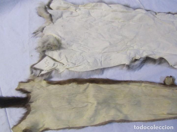 Vintage: 2 pieles completas curtidas - Foto 14