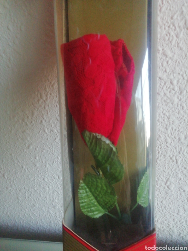 Vintage: Una Rosa de Ferrys ( braguitas) - Foto 3