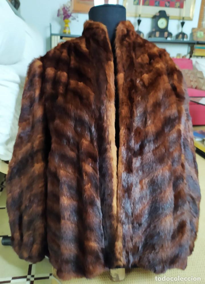 Vintage: Chaqueton de piel de kolansky - Foto 1