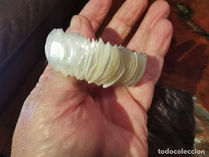 Vintage: PULSERA DE NACAR HECHA CON CONCHAS MUY FINAS - Foto 3
