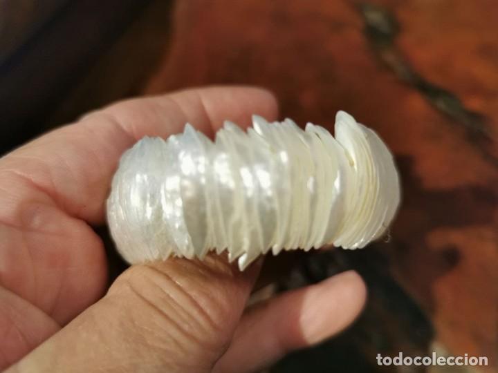 Vintage: PULSERA DE NACAR HECHA CON CONCHAS MUY FINAS - Foto 4