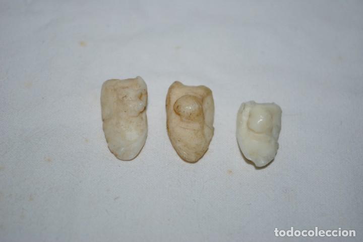 Vintage: LOTE DE HUESOS DE CORVINA - Foto 1