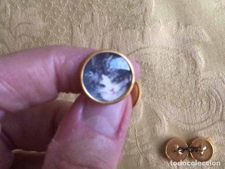 Vintage: GEMELOS VINTAGE GATOS - Foto 5