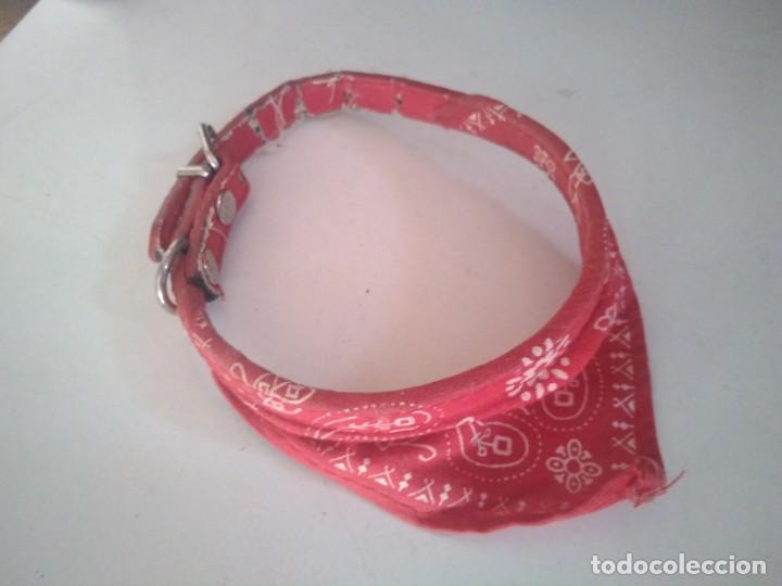 Vintage: Complementos para mascotas - Foto 4
