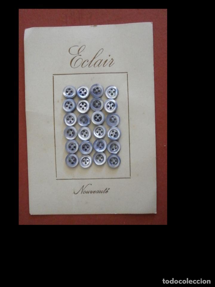 Vintage: Carton 24 botones. Eclair. Nouveat&eacute; - Foto 1