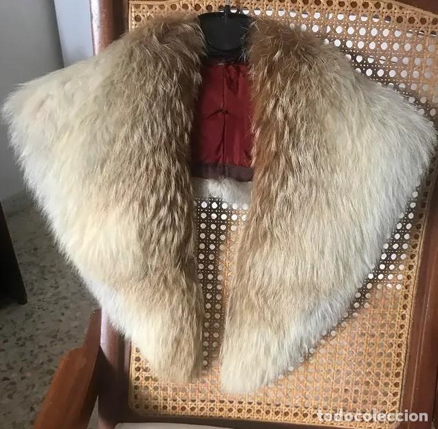 Vintage: Cuello Zorro canadiense (Sable) / Estola - Foto 1